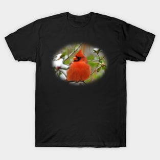 Northern Cardinal T-Shirt